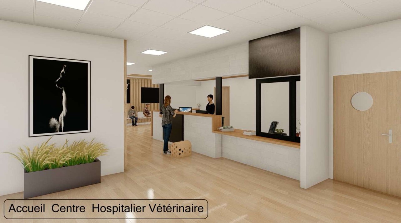 AUXILIAIRE SPÉCIALISÉ VÉTÉRINAIRE EN URGENCES ET SOINS INTENSIFS (F/H)