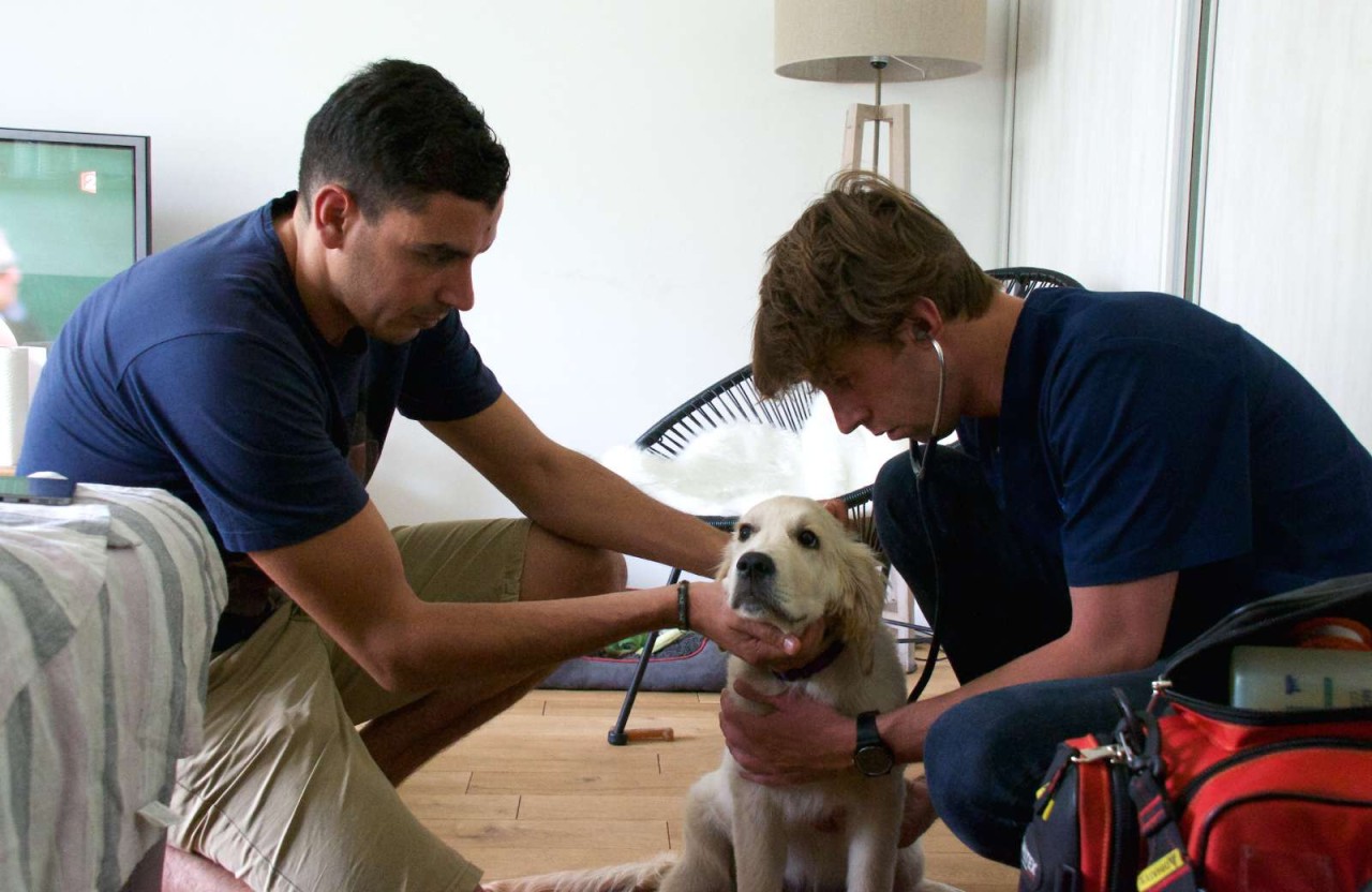 Recherche Urgentiste à domicile Ile de France (F/H)