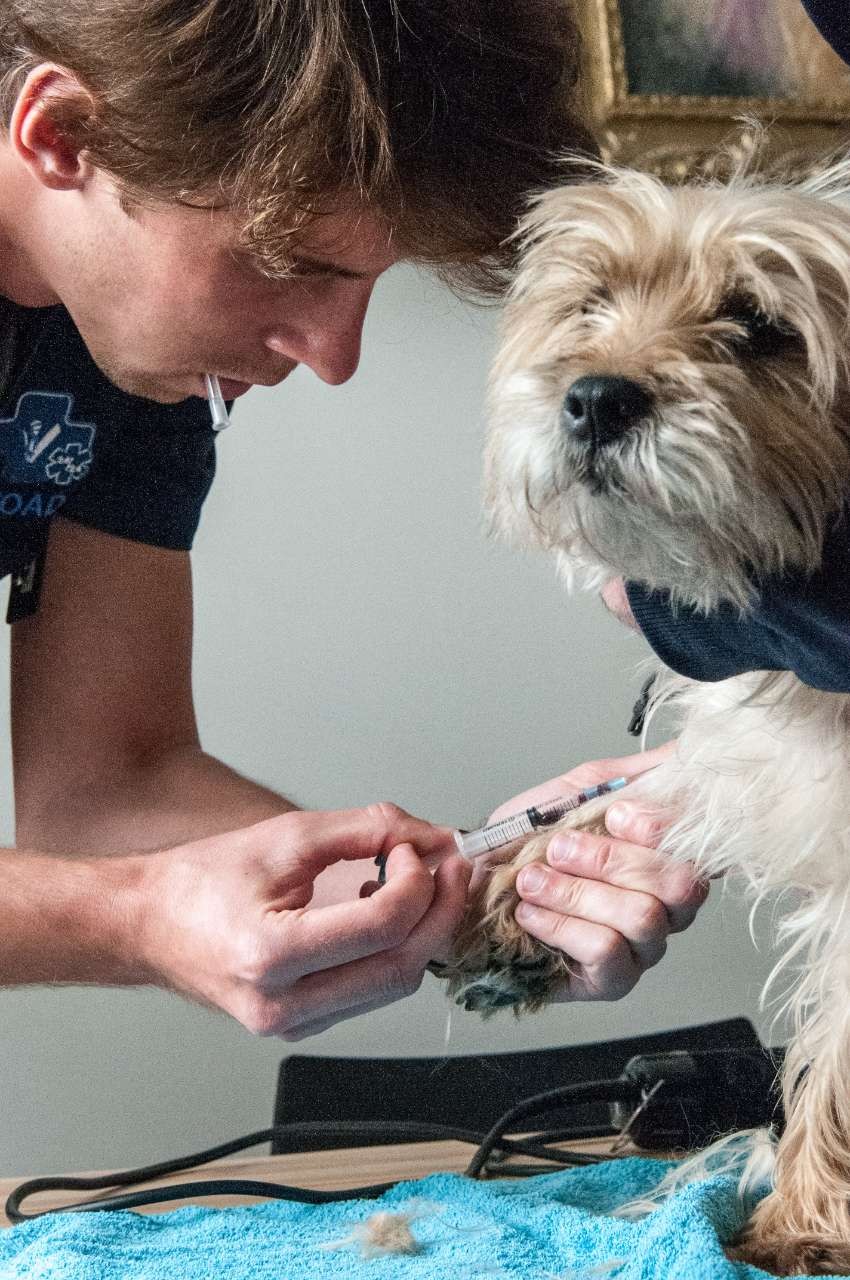 Recherche Urgentiste à domicile Ile de France (F/H)