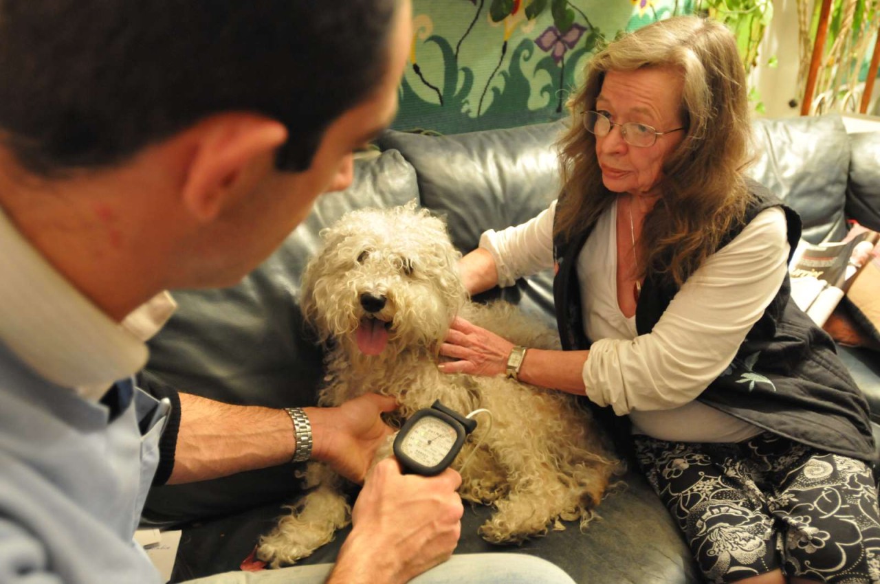 Recherche Urgentiste à domicile Ile de France (F/H)