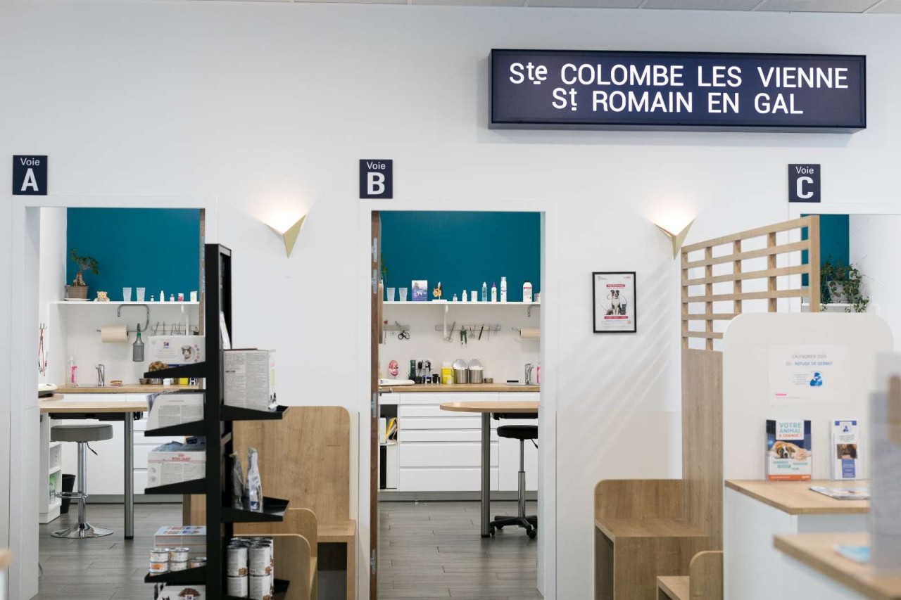 ASV - CDI temps plein sur 4 jours - Clinique de 3 vétérinaires (F/H)