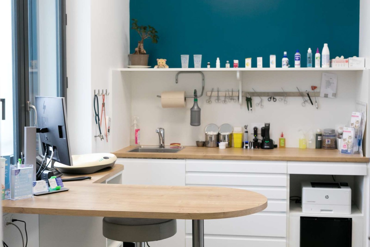 ASV - CDI temps plein sur 4 jours - Clinique de 3 vétérinaires (F/H)