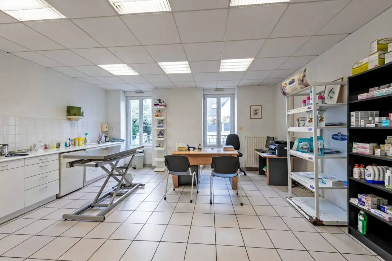 Vétérinaire - Brest (29) (F/H)