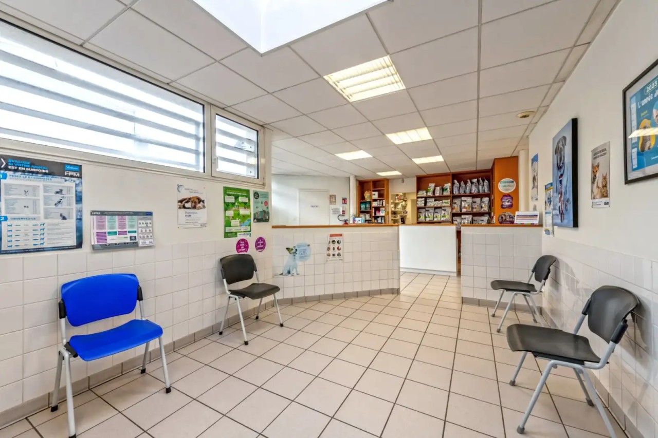 Vétérinaire - Brest (29) (F/H)