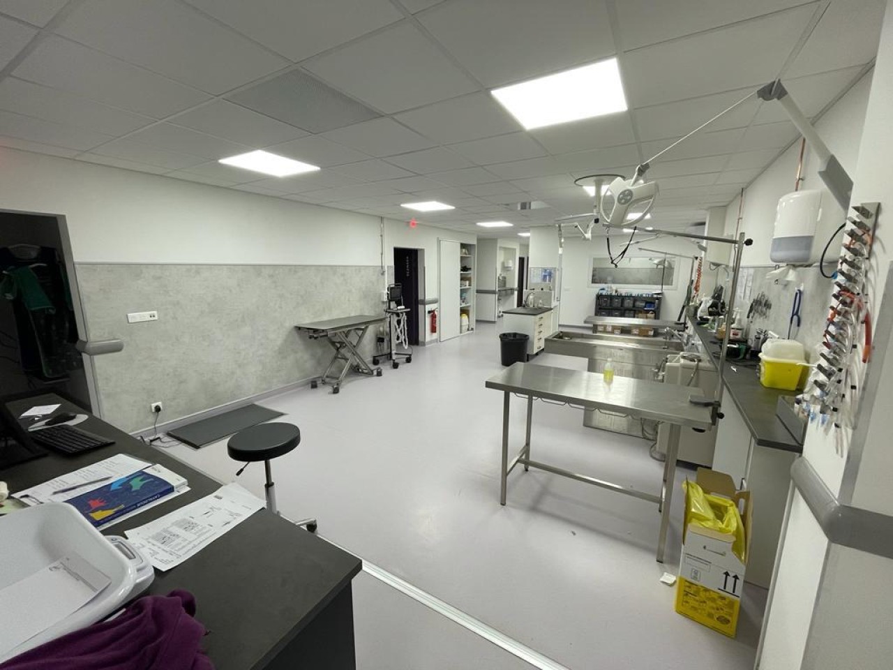 Recherche Auxiliaire Spécialisé.e Vétérinaire à AJACCIO (Corse du Sud) (F/H)