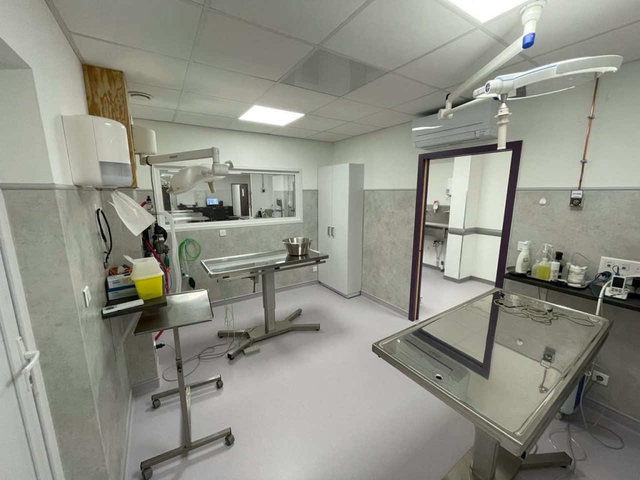 Recherche Auxiliaire Spécialisé.e Vétérinaire à AJACCIO (Corse du Sud) (F/H)