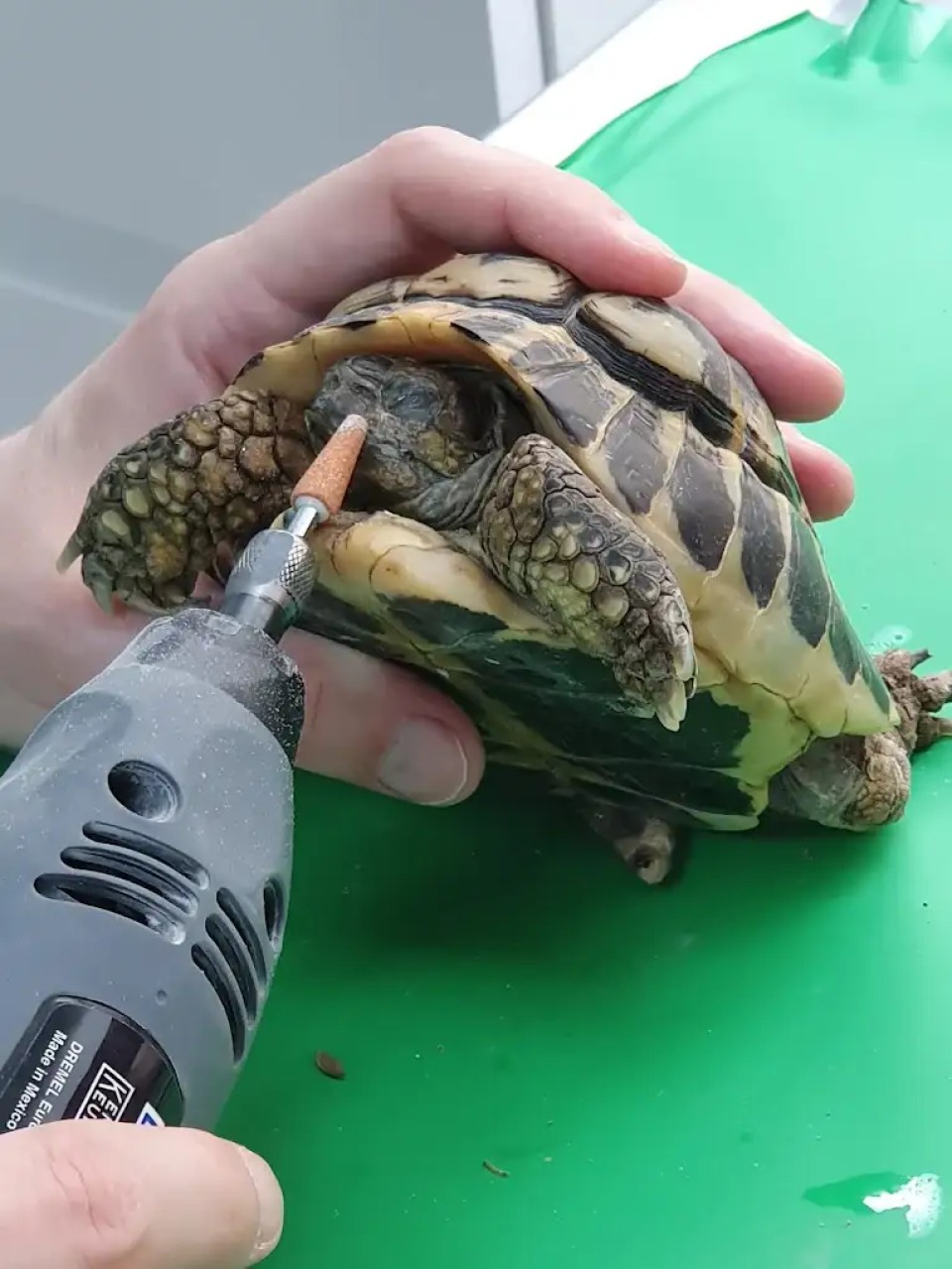 Vétérinaire - Paris 17ème (F/H)