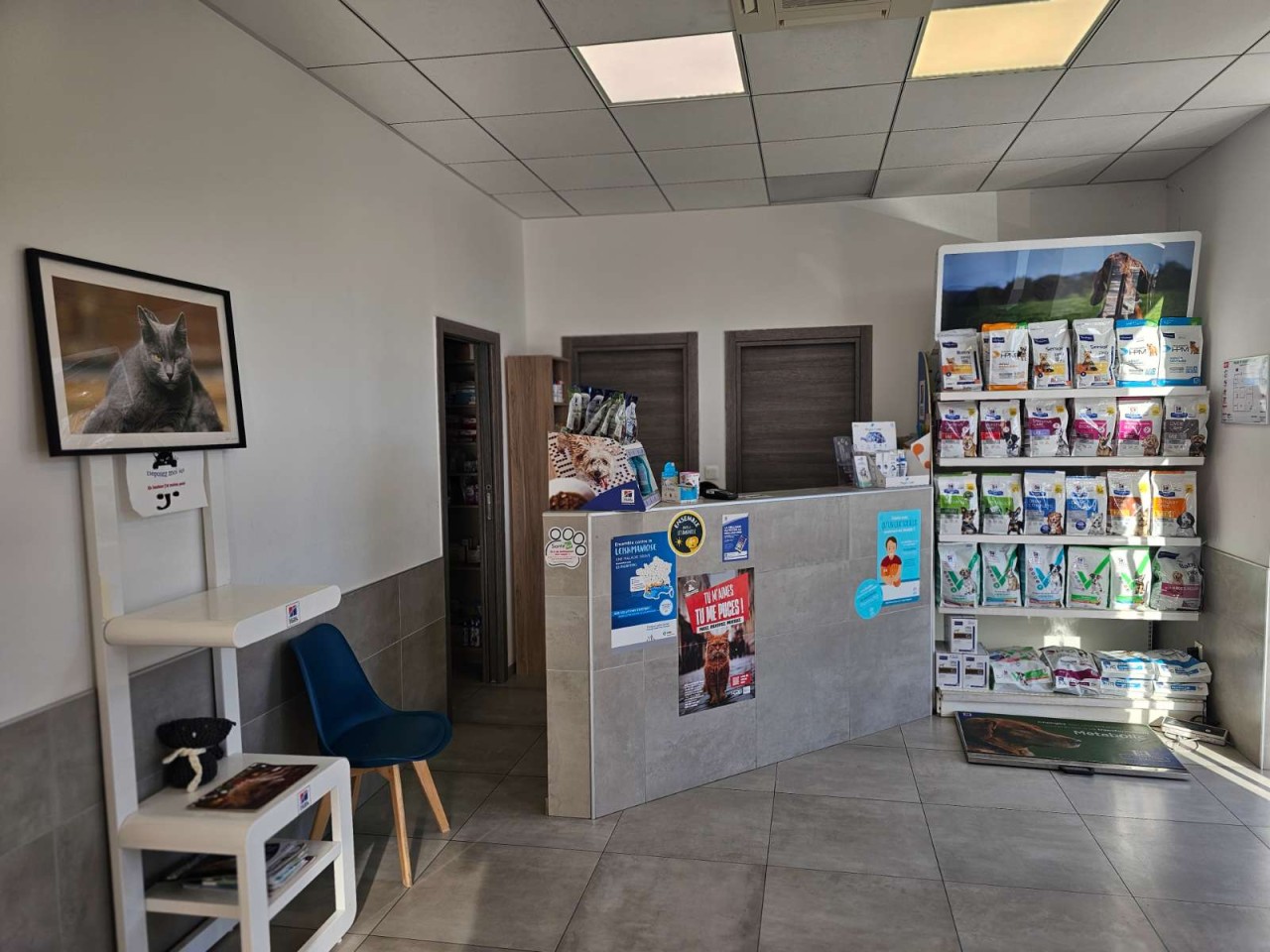 Clinique Vétérinaire De La Rocade Ajaccio