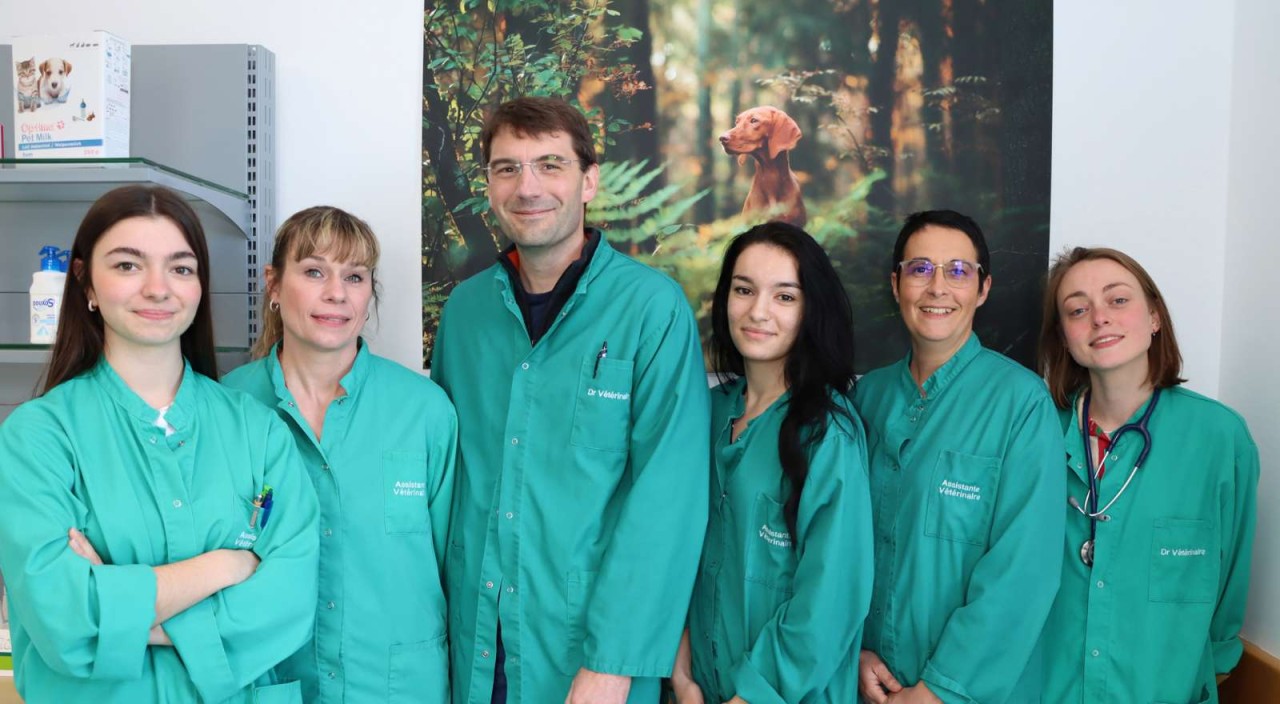 Clinique Indépendante Lizyvet - 10Km De Meaux