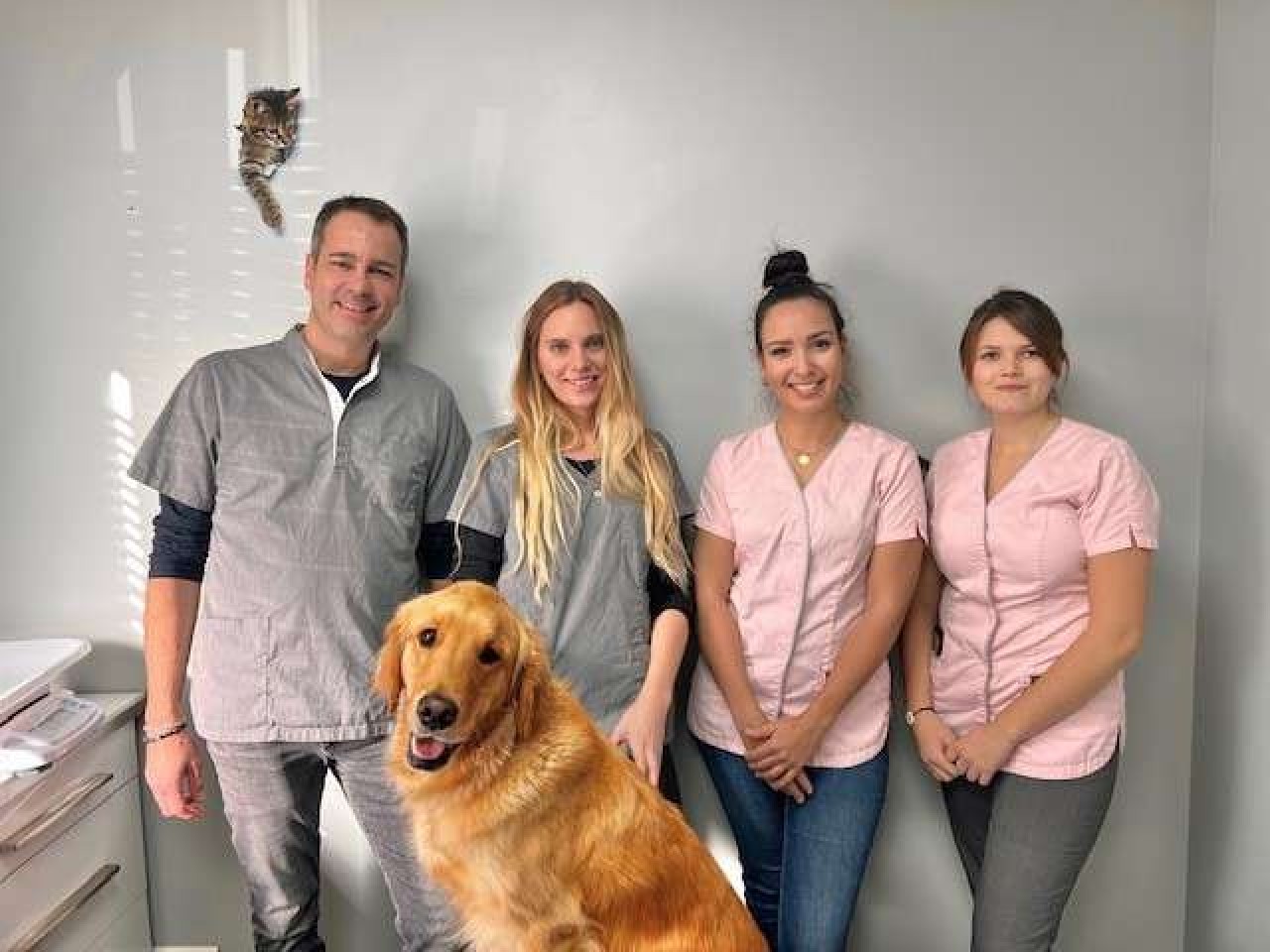 Clinique Vétérinaire De Croix Pivort