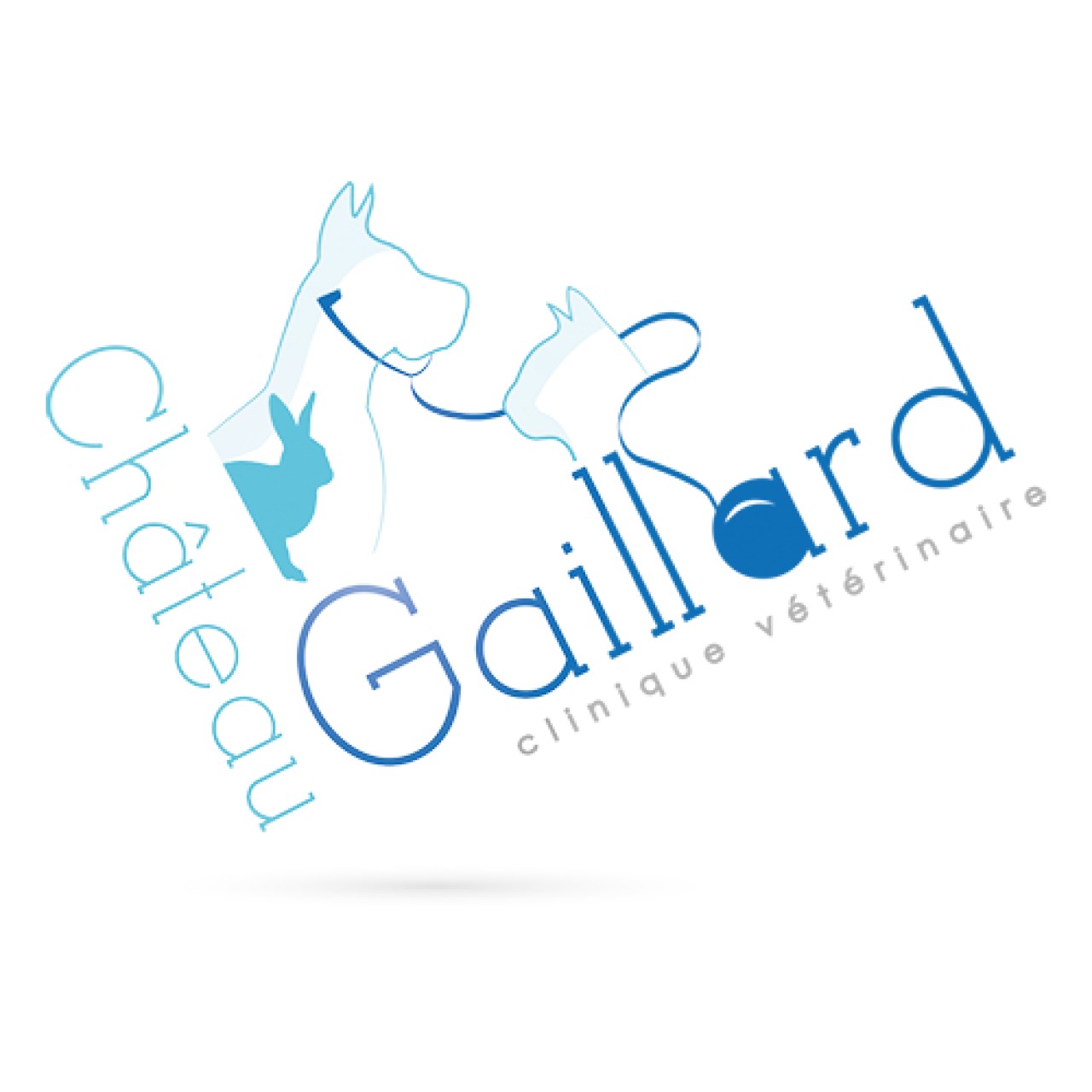 Selarl Vetochateau Gaillard