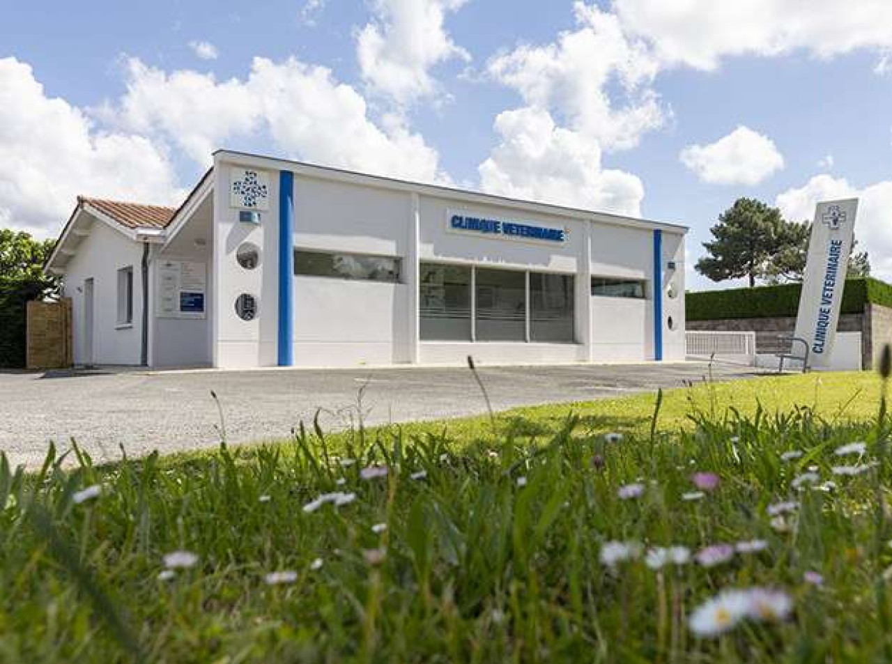 Clinique vétérinaire Saint Eloi