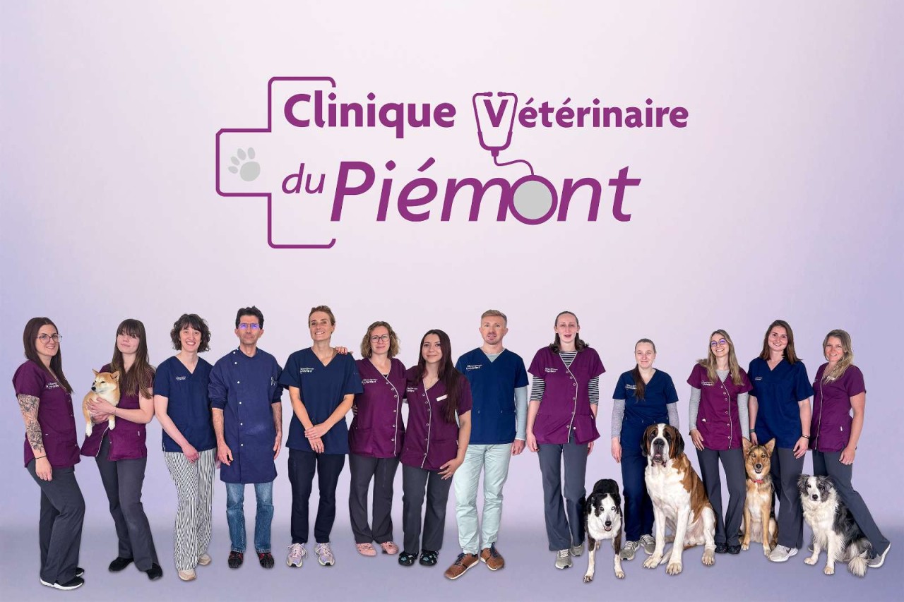 Clinique Vétérinaire Du Piémont