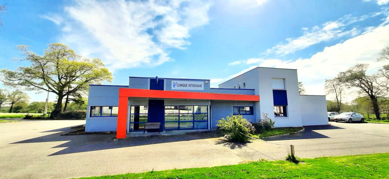 Clinique Vétérinaire De Kerhardy