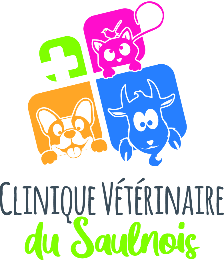 Clinique Véterinaire Du Saulnois