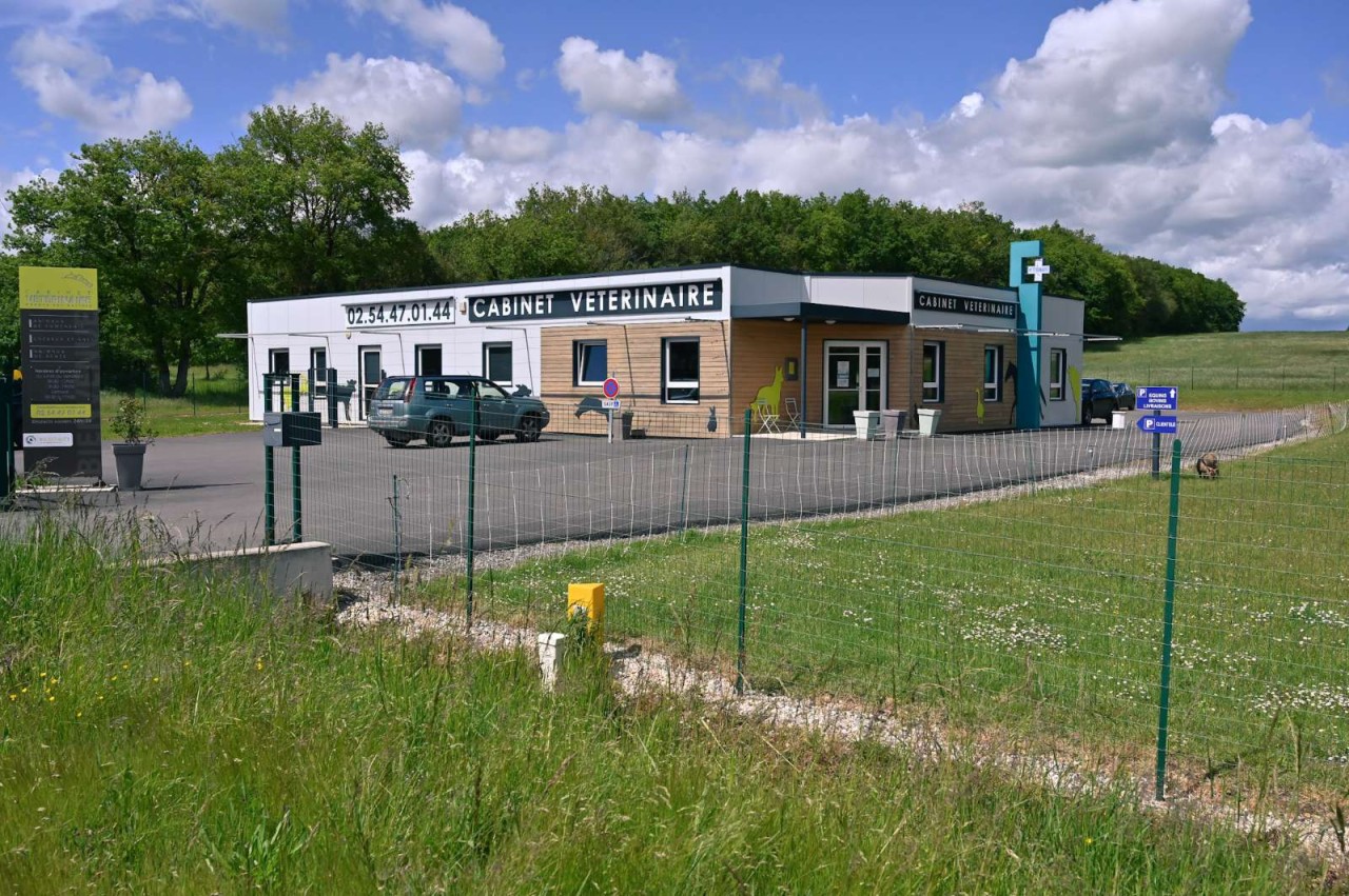 Selarl Des Veterinaires Galtois