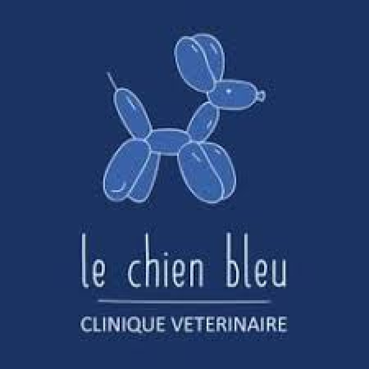 Clinique Chien Bleu Cotignac