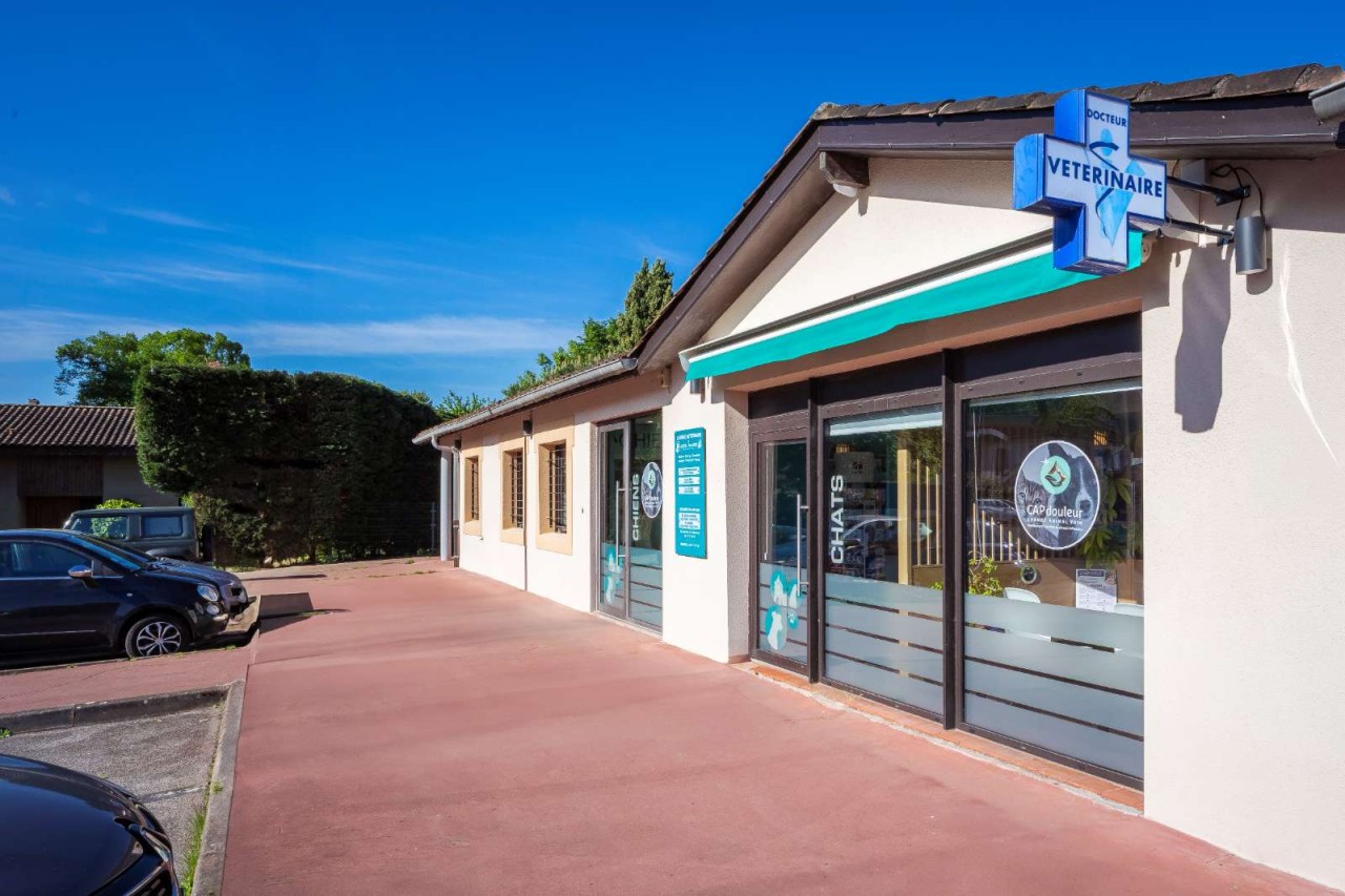 IVC EVIDENSIA France