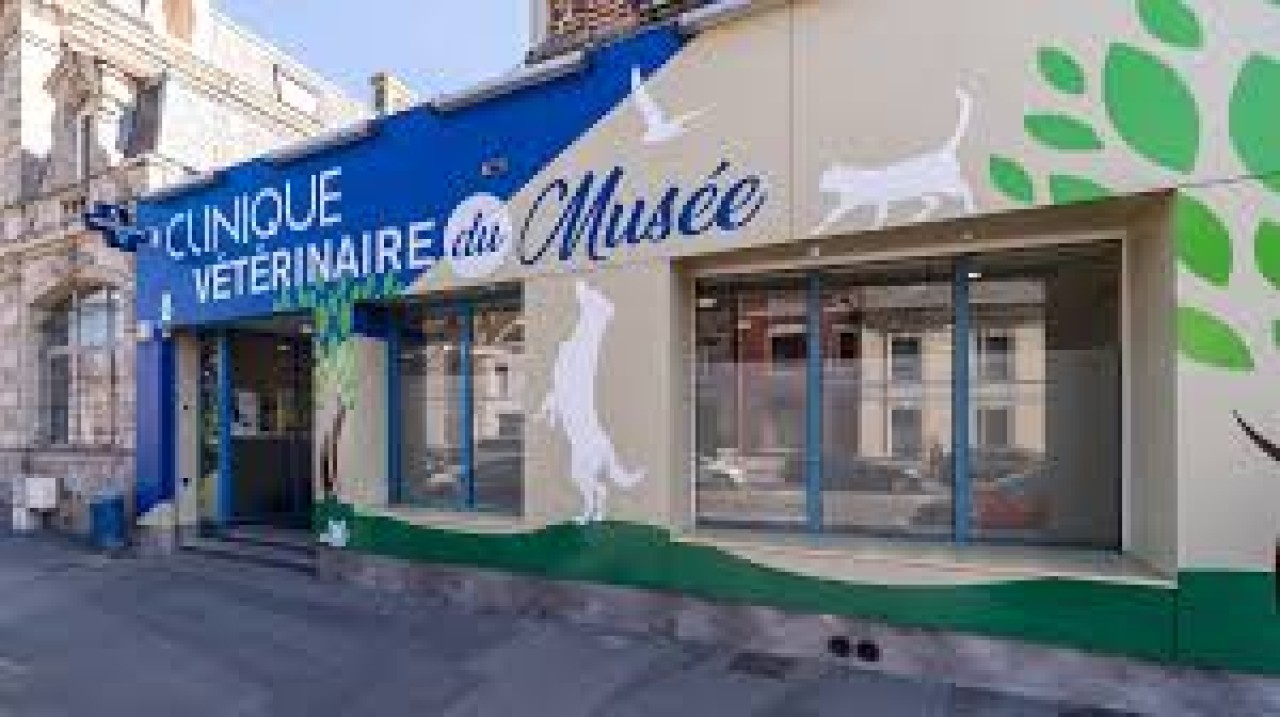 IVC EVIDENSIA France