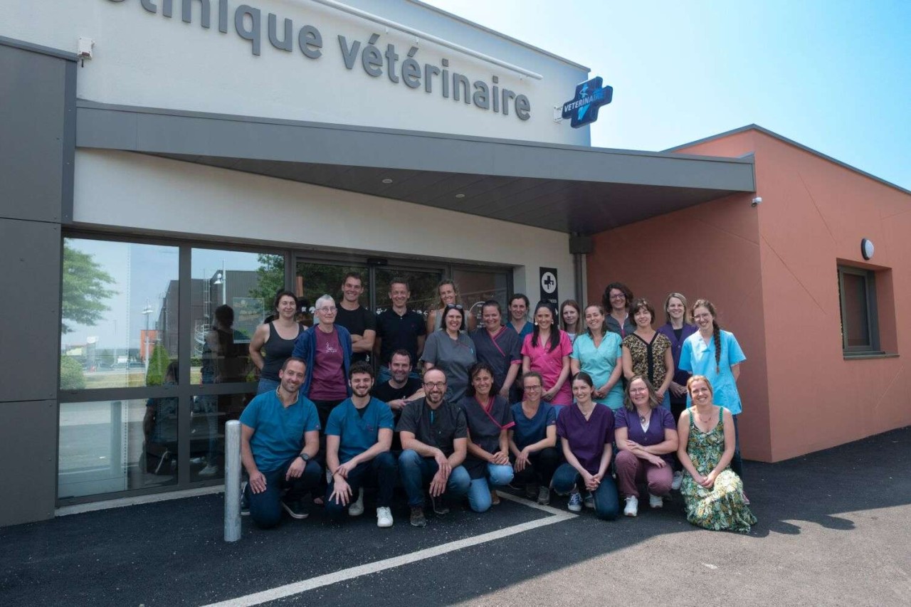 Groupe Veterinaire De Broceliande