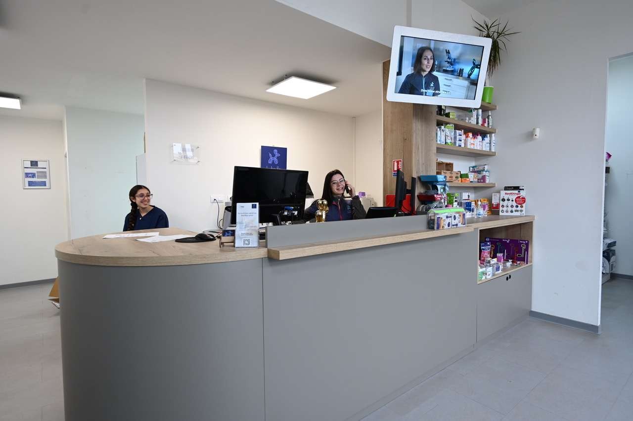 Clinique Chien Bleu Cotignac