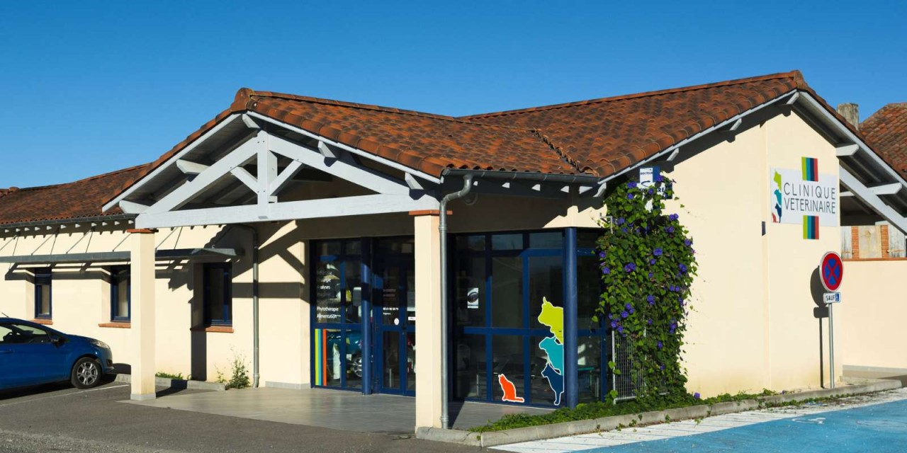 SCP CARRETERO CHAMBON 