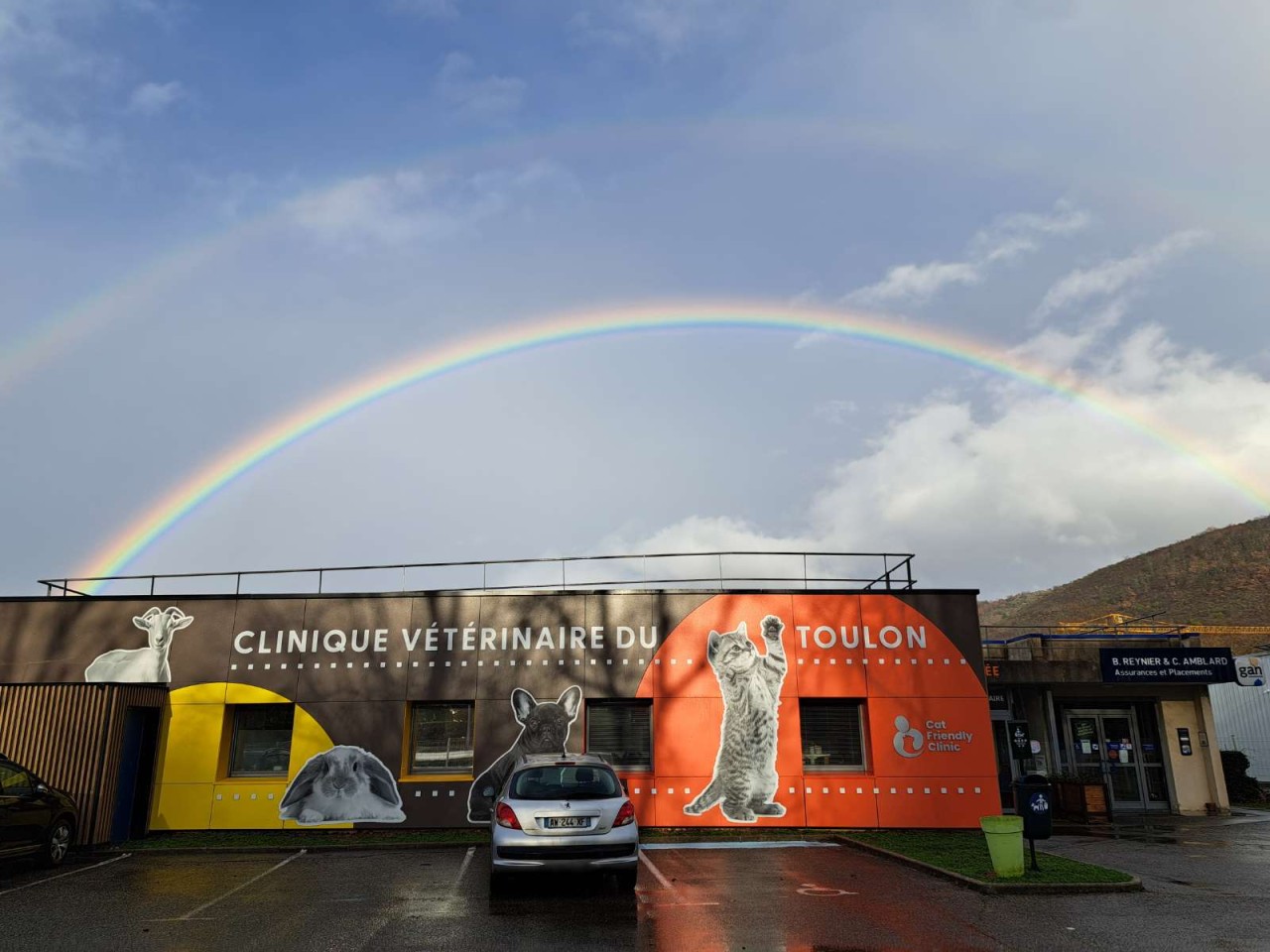 Clinique Veterinaire Du Toulon