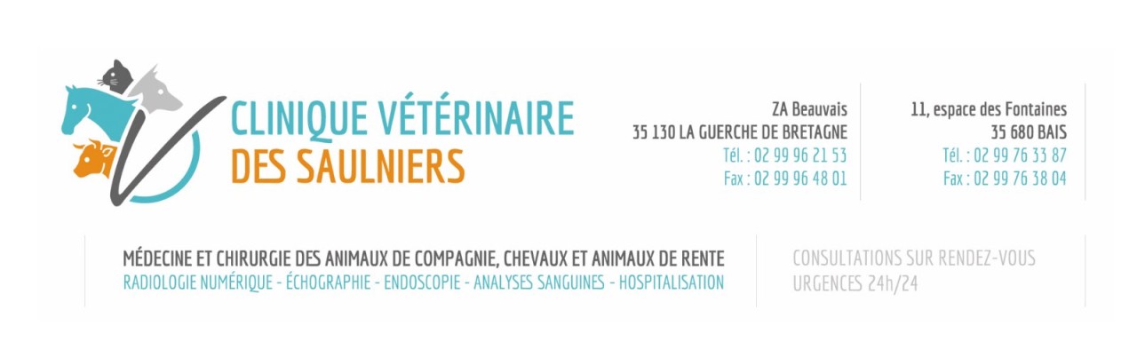 Sarl cmtvet-clinique vétérinaire des saulniers