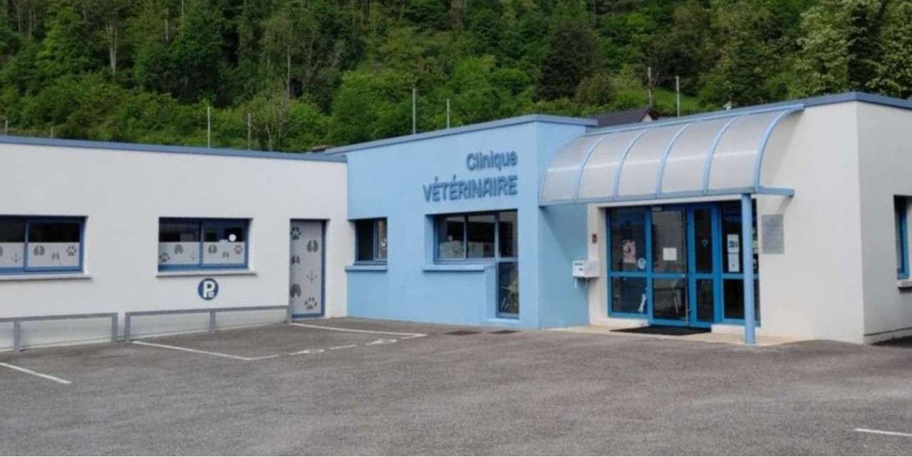 SELAS des TROIS VALLEES