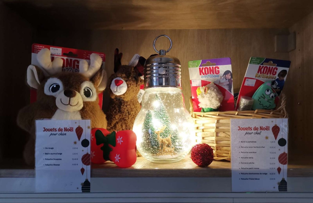 Clinique Vétérinaire de la Place