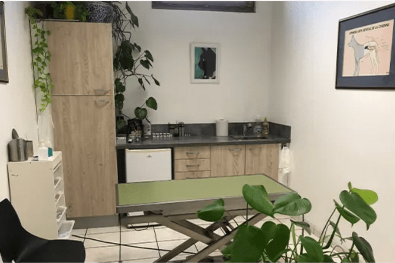 IVC EVIDENSIA France