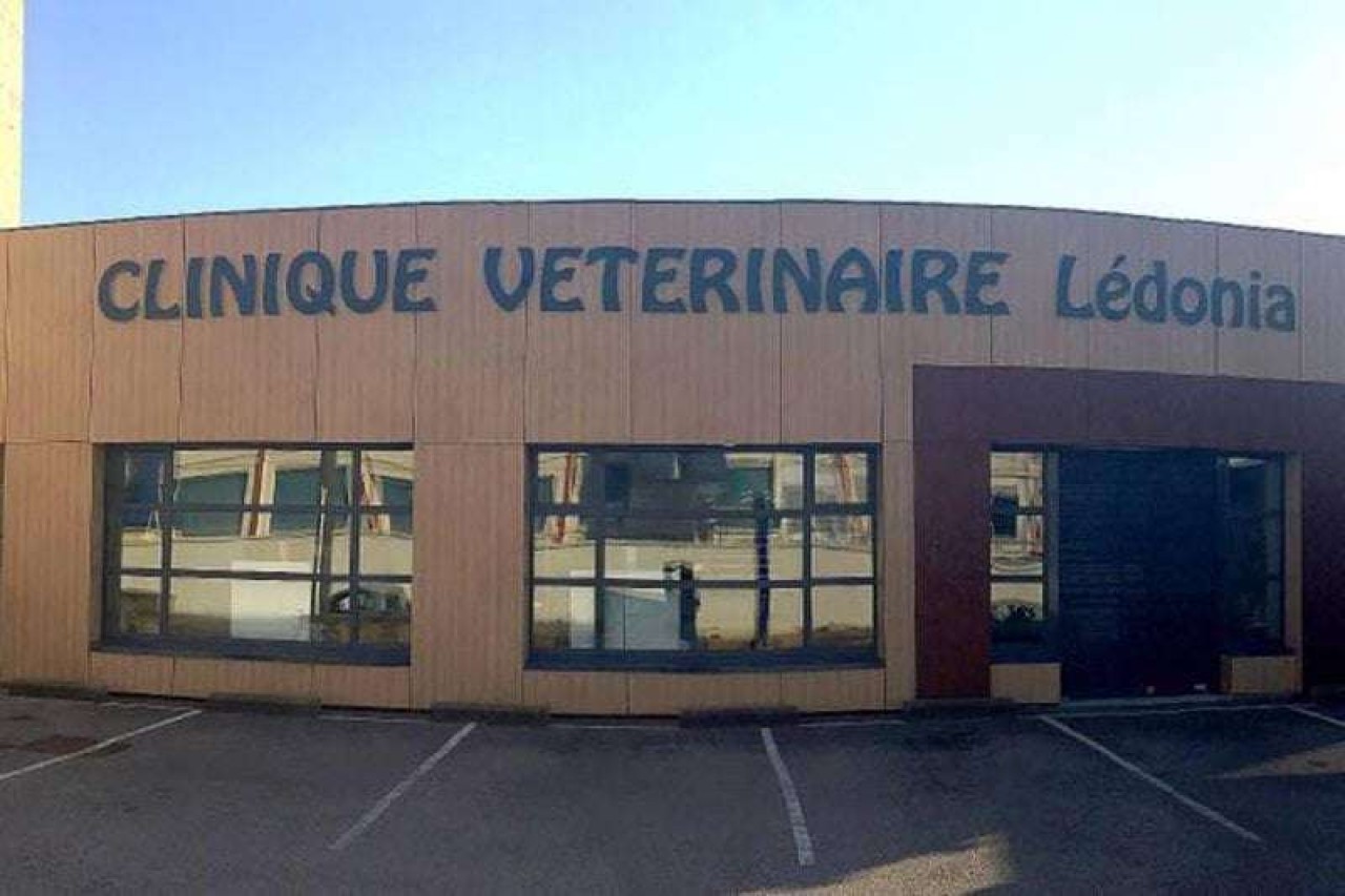 IVC EVIDENSIA France