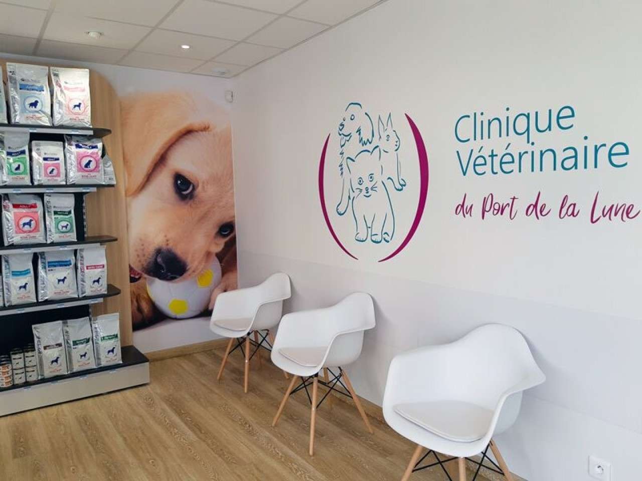Clinique Vétérinaire Du Port De La Lune