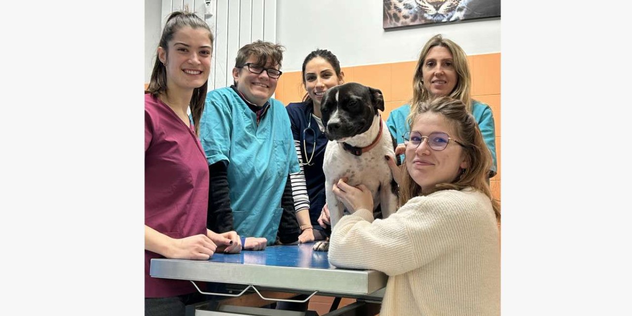 Clinique Vétérinaire De La Porte De L'ouest