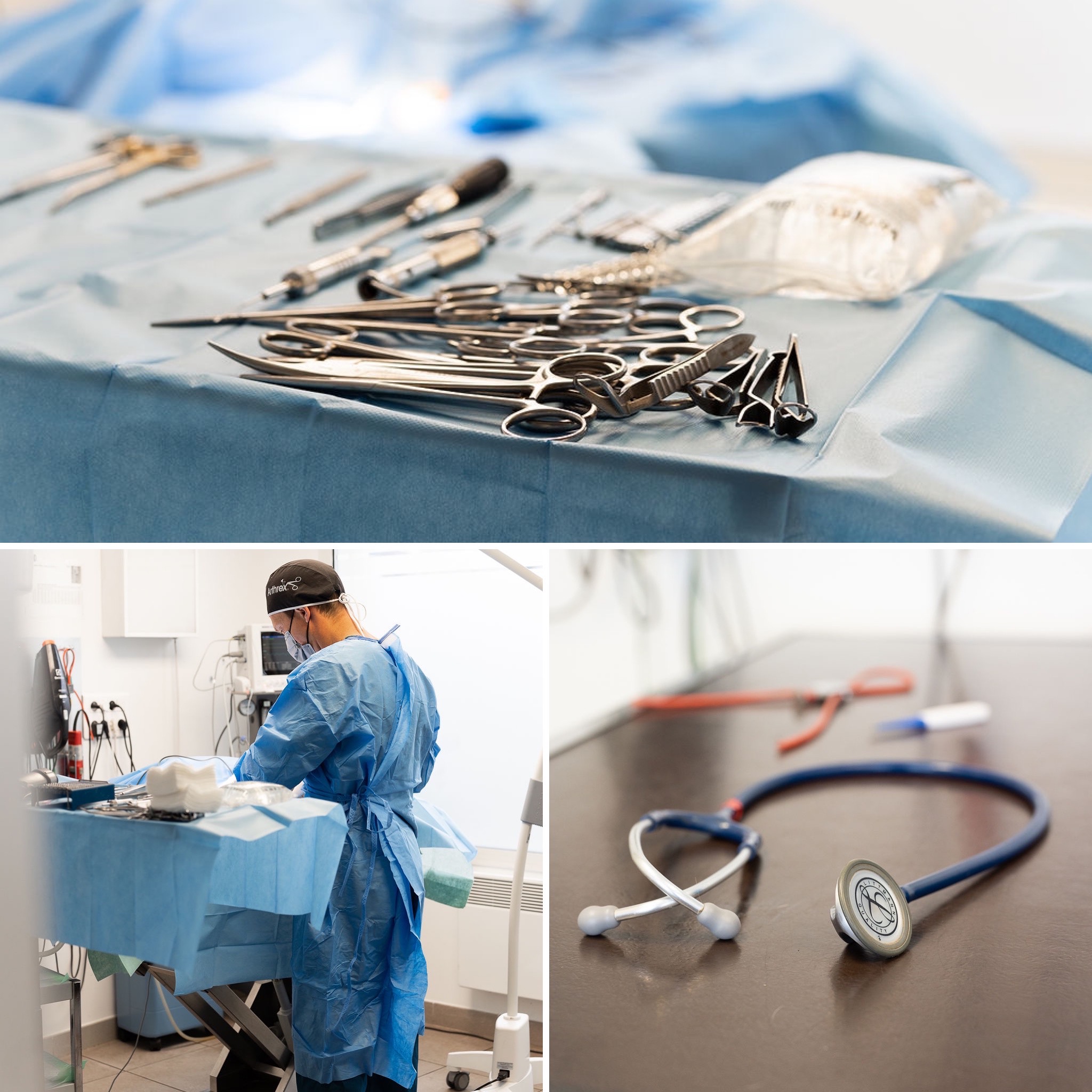 Clinique Vétérinaire de la Risle
