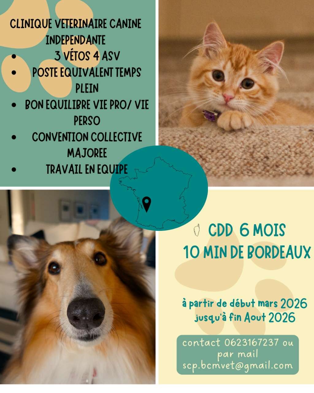 SCP COTTIGNIES MILITON