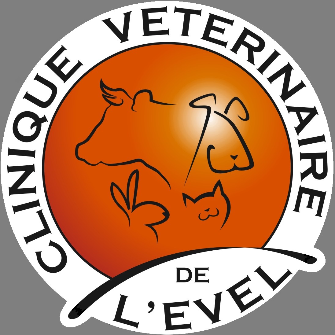Clinique Veterinaire De L'evel