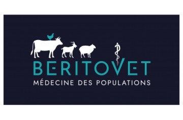 Selas Béritovet Conseil