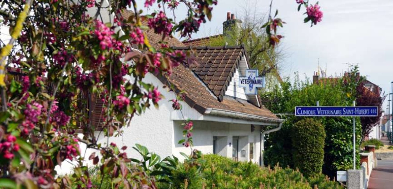 Clinique Vétérinaire Saint Hubert