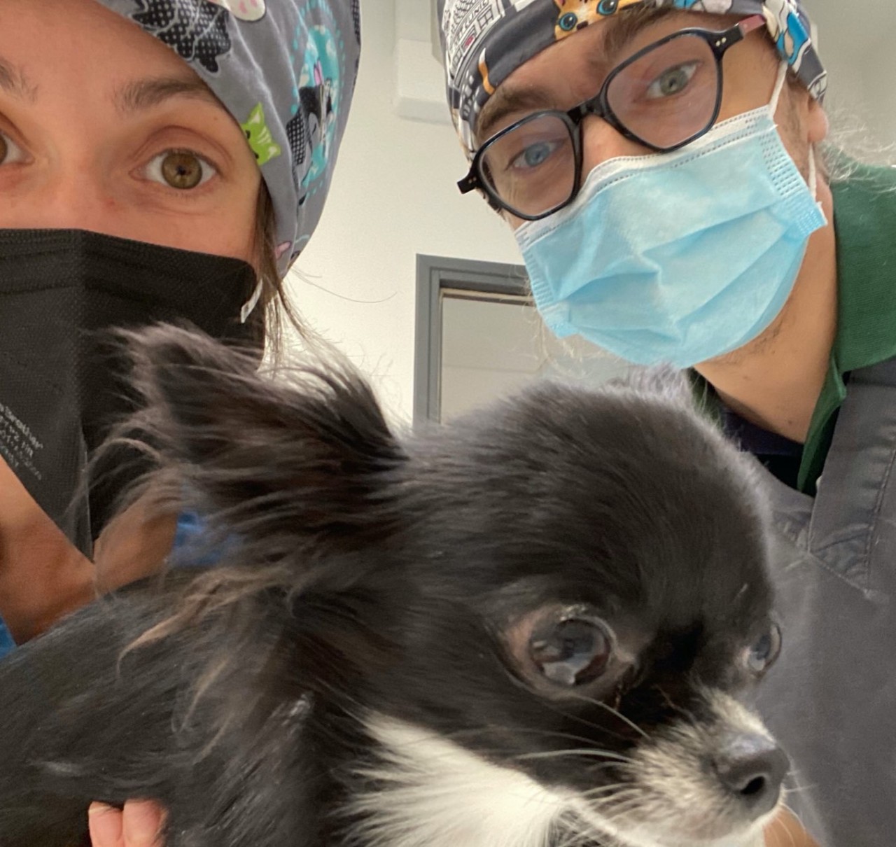 Clinique Vétérinaire Jeanne D'arc