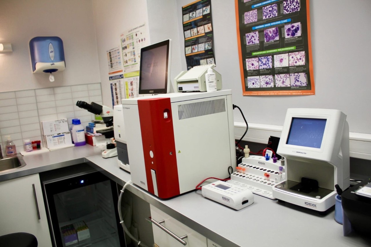 Clinique Vétérinaire des 7 chemins 