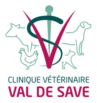 Clinique Vétérinaire Val De Save