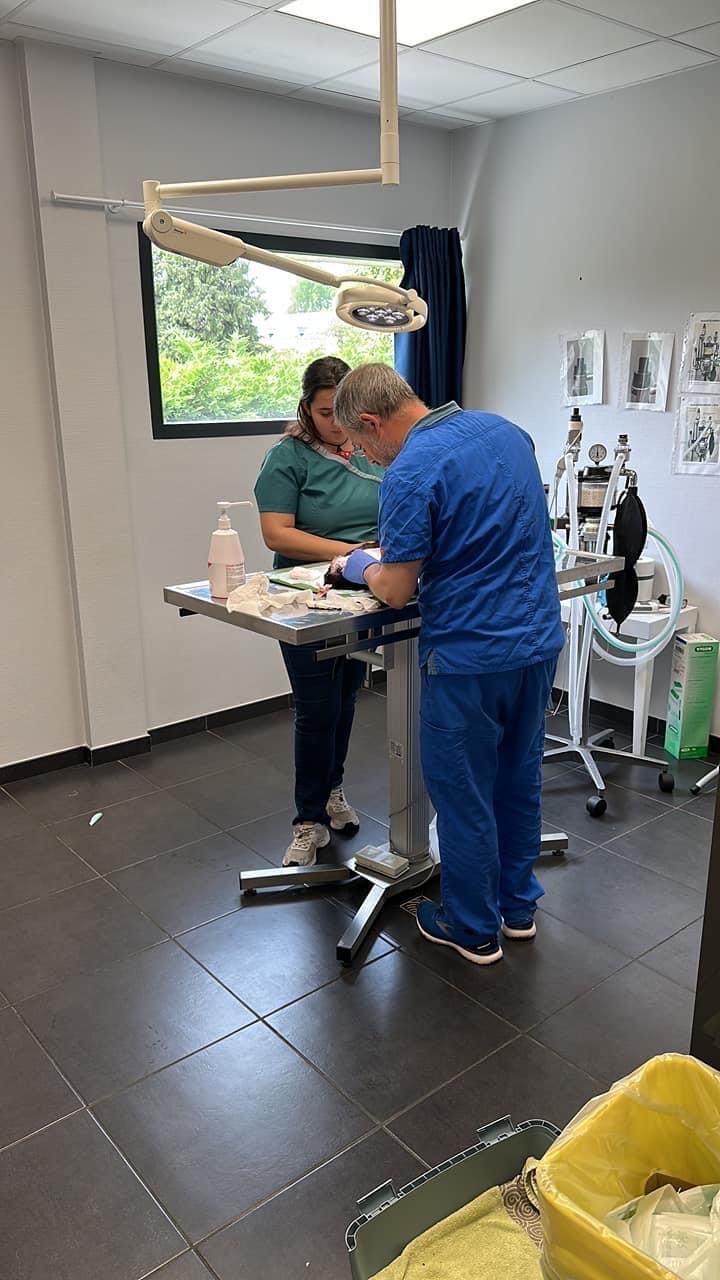 Clinique Vétérinaire de la Maillette