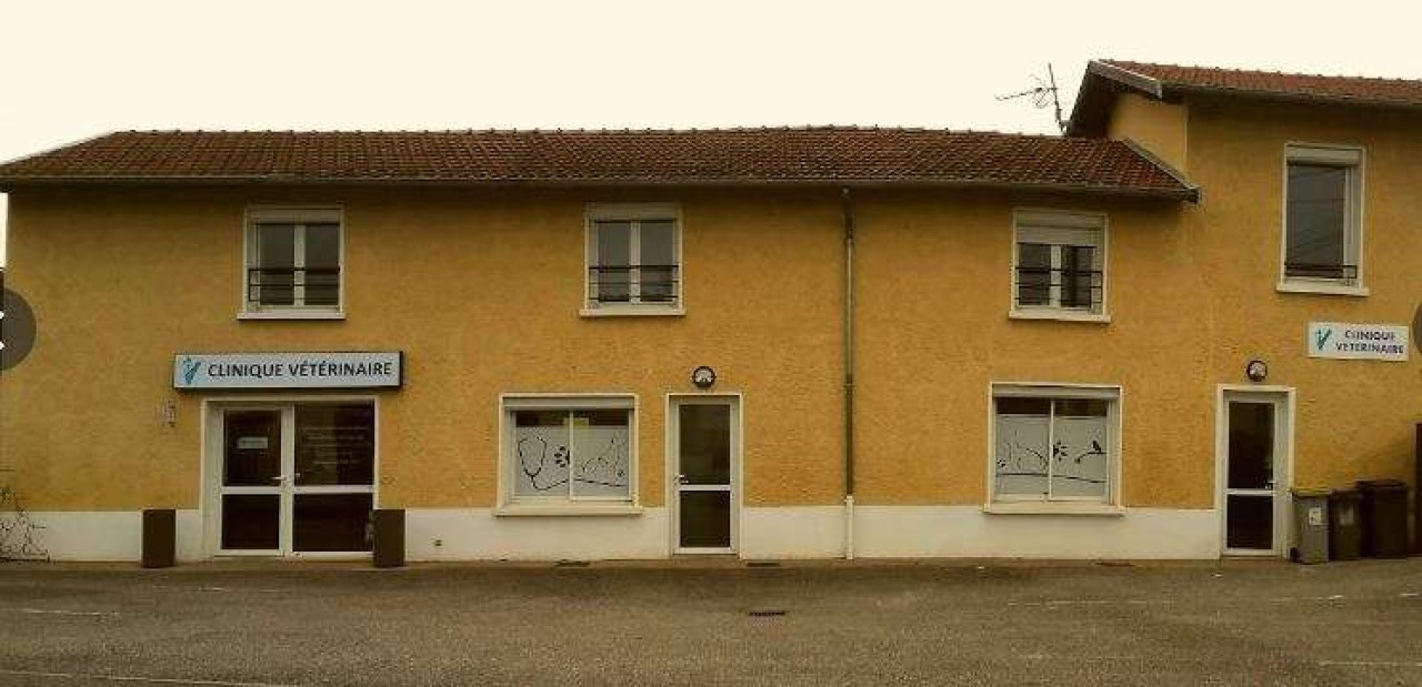 Okivét, Réseau De Cliniques Vétérinaires