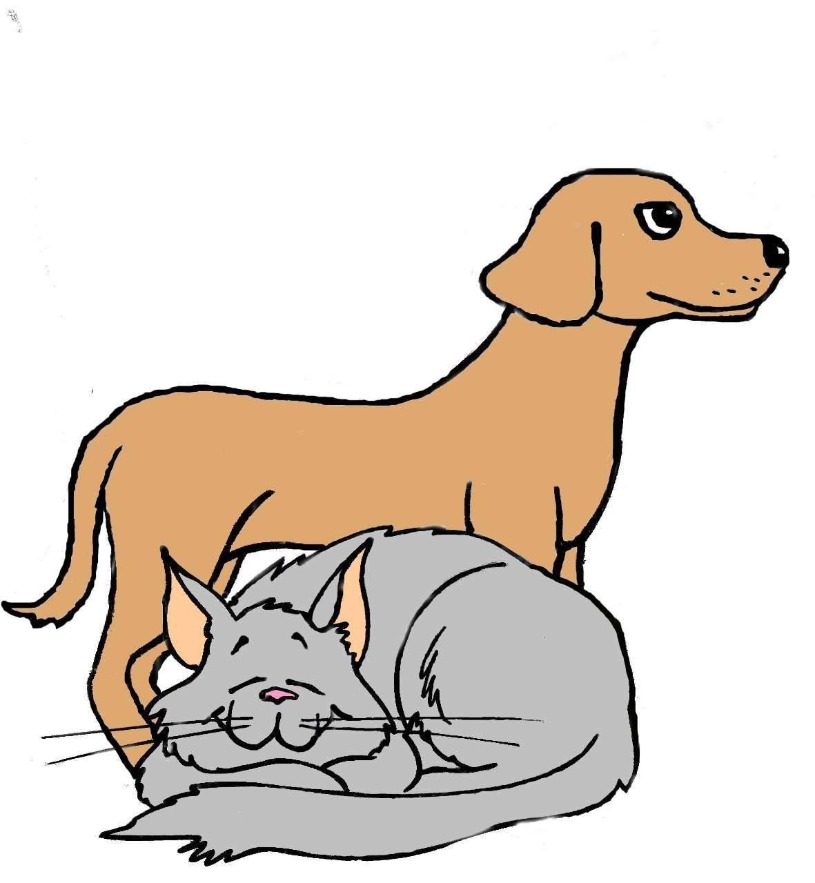 Clinique vétérinaire d'Auchel