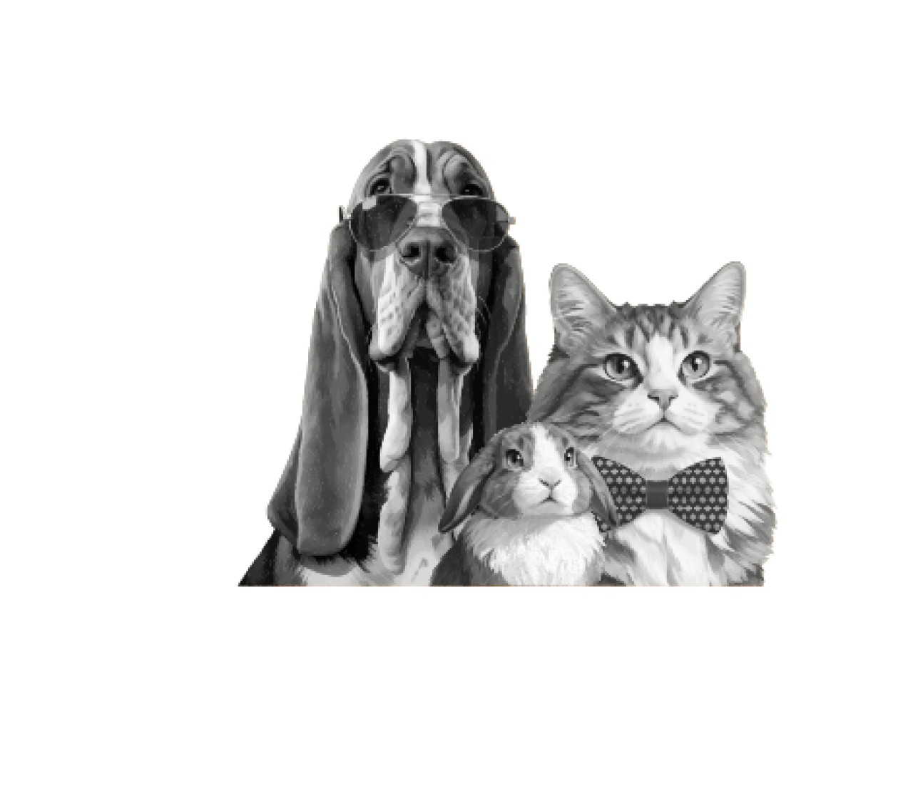 Clinique Vétérinaire Du Lescourre