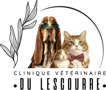 Clinique Vétérinaire Du Lescourre