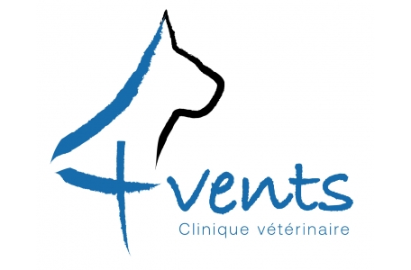 Clinique Vétérinaire Des 4 Vents Launaguet