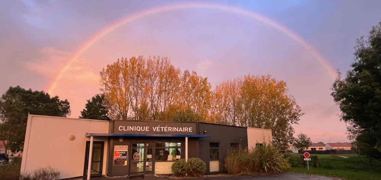 Clinique vétérinaire Logne et Boulogne