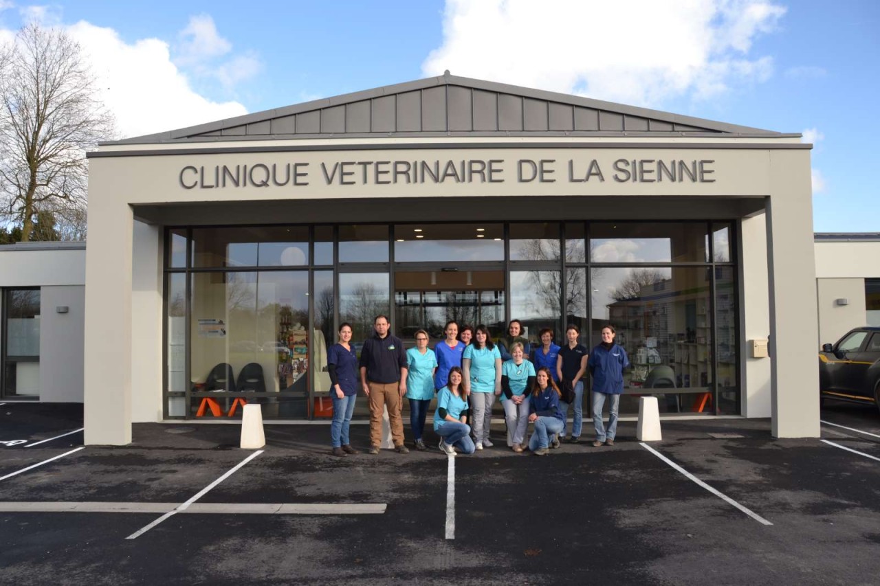 CLINIQUE VETERINAIRE DE LA SIENNE